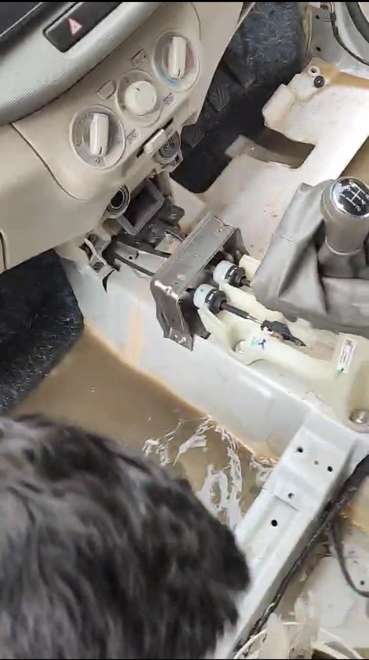 Before flood restoration (waterlogged interior)